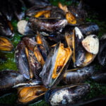 Gegrilde mosselen op de barbecue